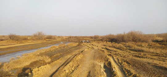 Boluslu kəndindən ünvanlanan vətəndaş müraciətləri yerində araşdırıldı