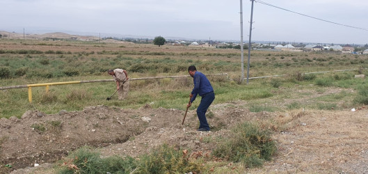 Goranboy rayonunda əsas turizm marşurutları üzrə yolkənarı ərazilərdə ümumrayon iməciliyi təşkil olundu, təmizlik, abadlıq işləri aparıldı.