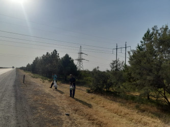 Goranboyda yolkənarı ərazilərin məişət tullantılarından təmizlənməsi işləri aparıldı, ağac və gül kolları suvarıldı