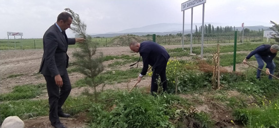 Goranboyda "Konstitusiya və Suverenlik ili" ilə bağlı,  ağacəkmə aksiya keçirildi