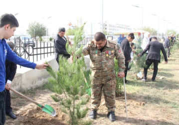 Yaşıl  dünya naminə, Goranboyumuzu  daha da yaşıllaşdıraq və qoruyaq !