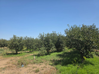Goranboyda Dövlət Proqramının icrası çərçivəsində müasir suvarma sistemlərinin tətbiqi mövzusunda maarifləndirici görüş keçirildi