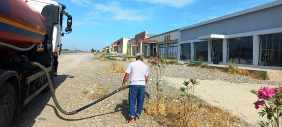 Goranboyda yeni salınmış yaşıllıq zolaqlarına aqrotexniki qulluğun göstərilməsi işləri davam etdirilir