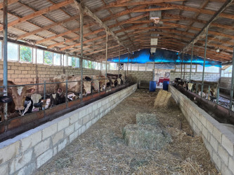 Goranboyda Dövlət Proqramının icrası çərçivəsində heyvandarlıq sahəsində maarifləndirici tədbir keçirildi