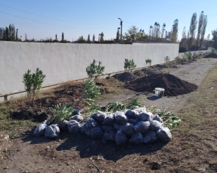 Goranboyda, "Yaşıl dünya naminə həmrəylik ili" çərçivəsində həyata keçirilən kütləvi ağacəkmə  aksiyasına  Borsunlu və Nadirkənd kəndlərinin sakinləri də fəal qoşuldular.