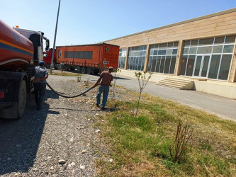 Goranboyda yeni salınmış yaşıllıq zolaqlarına aqrotexniki qulluq işləri davam etdirilir. Bu məqsədlə, ağacların növbəti suvarılması işləri görülür.