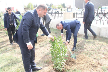 Goranboyda, “27 sentyabr – Anım Günü” ilə bağlı ağacəkmə aksiyası keçirildi.