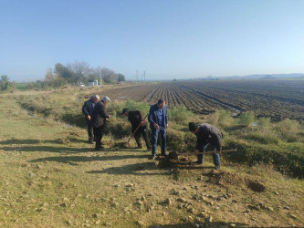 Goranboyda,   "Yaşıl dünya naminə həmrəylik ili" ilə bağlı, yeni yaşıllıq zolaqlarının salınması və mövcud infrastrukturun genişləndirilməsi işləri davam etdirilir.