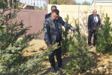 Goranboyda “08 noyabr –Zəfər Günü” ilə bağlı ağacəkmə aksiyası keçirildi