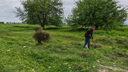 Goranboyda “Şəhərsalma və Memarlıq ili” və beynəlxalq veloyarışa hazırlıq çərçivəsində abadlıq işləri davam etdirilir