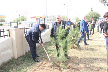 Goranboyda, “27 sentyabr – Anım Günü” ilə bağlı ağacəkmə aksiyası keçirildi.