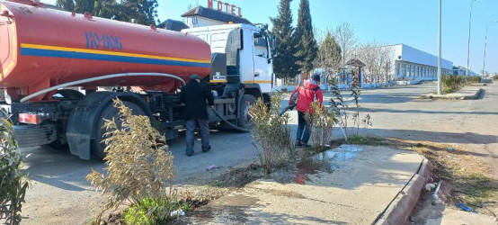 Goranboyda yeni salınmış yaşıllıq zolaqlarına aqrotexniki qulluq işləri davam etdirilir