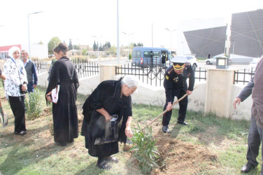 Goranboyda, “27 sentyabr – Anım Günü” ilə bağlı ağacəkmə aksiyası keçirildi.