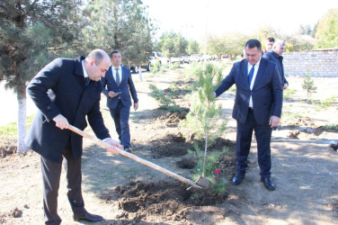 Goranboyda,  “8 noyabr Zəfər Günü” və  “Yaşıl dünya naminə həmrəylik ili“  ilə bağlı,  ağacəkmə aksiyası təşkil olundu