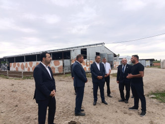 Goranboyda növbəti heyvandarlıq təsərrüfatına baxış keçirildi