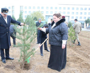Goranboyda Ümummilli Lider Heydər Əliyevin anım günü ilə bağlı, ağacəkmə aksiyası təşkil olundu