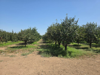 Goranboyda Dövlət Proqramının icrası çərçivəsində müasir suvarma sistemlərinin tətbiqi mövzusunda maarifləndirici görüş keçirildi