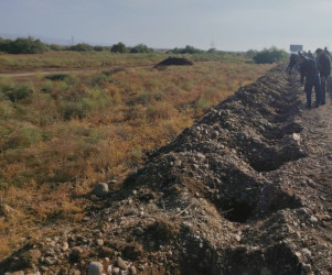 Goranboyda  yolkənarı ərazilərin abadlaşdırılması məqsədi ilə ağac əkini işləri həyata keçirilir.