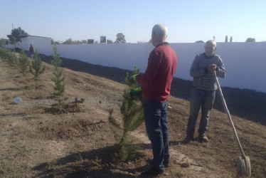 Goranboyda  "Yaşıl dünya naminə həmrəylik ili"  çərçivəsində, növbəti ağacəkmə aksiyası həyata keçirildi.