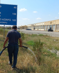 Goranboyda, Bakı-Qazax magistral avtomobil yolunun ətraf ərazilərində növbəti iməcilik işləri aparıldı