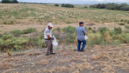 Goranboyda yol kənarında ağaclar suvarıldı, məişət tullantıları təmizləndi