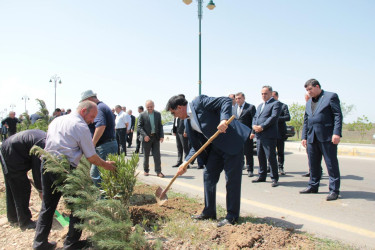 Goranboyda,  “Yaşıl dünya naminə həmrəylik ili” ilə bağlı, rayon İcra Hakimiyyətinin  Tədbirlər Planına uyğun olaraq, növbəti ağacəkmə aksiyası  təşkil olundu.