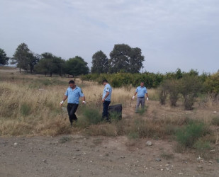 Goranboyda, “Yaşıl dünya naminə həmrəylik ili” çərçivəsində  təmizlik aksiyası keçirildi