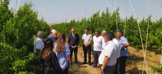 Goranboyda müasir suvarma sistemlərinin tətbiqi və genişləndirilməsi istiqamətində fermer və sahibkarlarla maarifləndirici görüş keçirildi