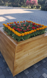 Goranboyda genişmiqyaslı abadlıq və yenidənqurma işləri davam etdirilir