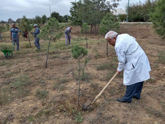 Goranboyda "Yaşıl dünya naminə həmrəylik ili" ilə bağlı, silsilə tədbirlər davam etdirilir.