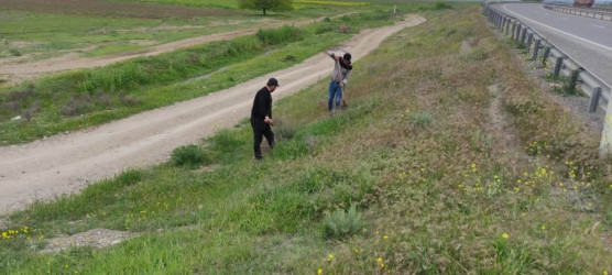 Goranboyda “Şəhərsalma və Memarlıq ili” və beynəlxalq veloyarışa hazırlıq çərçivəsində abadlıq işləri davam etdirilir