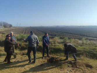 Goranboyda,   "Yaşıl dünya naminə həmrəylik ili" ilə bağlı, yeni yaşıllıq zolaqlarının salınması və mövcud infrastrukturun genişləndirilməsi işləri davam etdirilir.