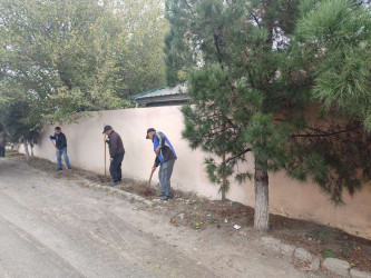 "Yaşıl dünya naminə həmrəylik ili" çərçivəsində  Qızılhacılı qəsəbəsində həyata keçirilən ağacəkmə aksiyasında fəal iştirak edən qəsəbə sakinləri də aksiyaya öz töhfələrini verirlər.