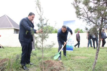 Goranboyda “Şəhərsalma və Memarlıq İli” çərçivəsində Ümummilli Lider Heydər Əliyevin anadan olmasının 103-cü ildönümü ilə bağlı ağacəkmə aksiyası keçirildi