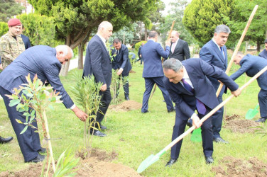 Goranboyda Ümummilli Liderimiz Heydər Əliyevin anadan olmasının 101-ci ildönümü ilə bağlı, 101 ədəd ağac əkildi.