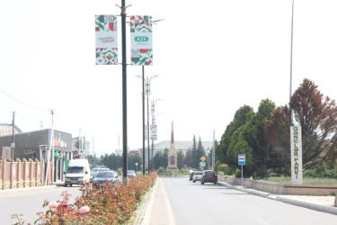 Gülə, çiçəyə bürünən Goranboy