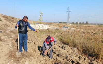 Goranboyda,   "Yaşıl dünya naminə həmrəylik ili" ilə bağlı, yeni yaşıllıq zolaqlarının salınması və mövcud infrastrukturun genişləndirilməsi işləri davam etdirilir.