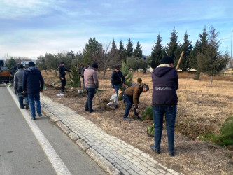 Goranboyda “Şəhərsalma və Memarlıq İli” çərçivəsində ağacəkmə aksiyası keçirildi