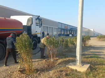 Goranboyda, "Yaşıl dünya naminə həmrəylik ili" ilə bağlı, yeni əkilmiş ağac və kolların suvarılması və aqrotexniki  işləri davam etdirilir