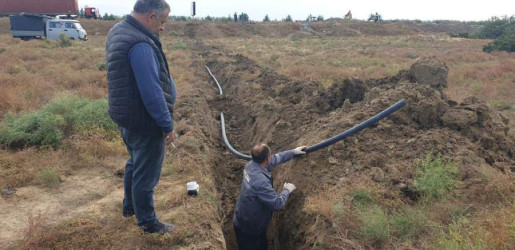 Goranboyda  yolkənarı ərazilərin abadlaşdırılması məqsədi ilə ağac əkini işləri həyata keçirilir.