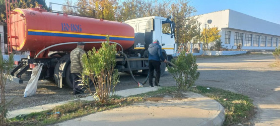 Goranboyda, "Yaşıl dünya naminə həmrəylik ili" ilə bağlı, yeni əkilmiş ağac və kolların suvarılması və aqrotexniki  işləri davam etdirilir