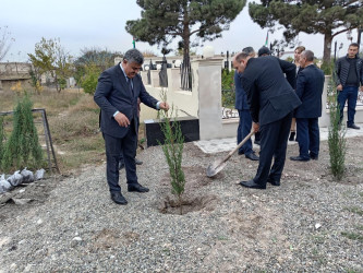 Goranboyda “08 noyabr –Zəfər Günü” ilə bağlı növbəti ağacəkmə aksiyası keçirildi
