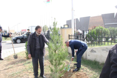 Goranboyda, “27 sentyabr – Anım Günü” ilə bağlı ağacəkmə aksiyası keçirildi.