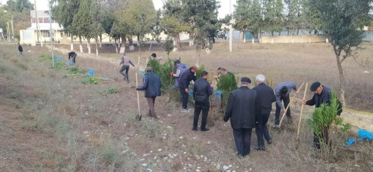 Yaşıl  dünya naminə, Goranboyumuzu  daha da yaşıllaşdıraq və qoruyaq !