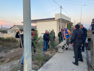 "Yaşıl dünya naminə həmrəylik ili" çərçivəsində, yolkənarı ərazilərdə həyata keçirilən genişmiqyaslı ağacəkmə işlərinə  Dəliməmmədli sakinləri də qoşuldu.