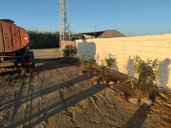 Goranboyda, "Yaşıl dünya naminə həmrəylik ili" ilə bağlı, yeni yaşıllıq zolaqlarının salınması, mövcud infrastrukturun genişləndirilməsi və aqrotexniki qulluğun göstərilməsi işləri davam etdirilir.