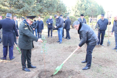 Goranboyda, “Heydər Əliyev ili” çərçivəsində, “Heydər Əliyev-100” adlı ağacəkmə aksiyası keçirildi.