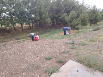 Goranboyda yol kənarında ağaclar suvarıldı, məişət tullantıları təmizləndi