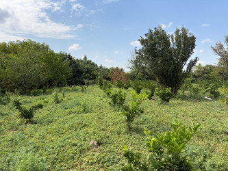 Goranboyda Dövlət Proqramının icrası çərçivəsində müasir suvarma sistemlərinin tətbiqinin və artırılmasının təşviqi istiqamətində maarifləndirici tədbir keçirildi
