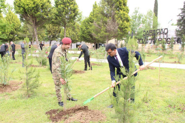 Goranboyda Ümummilli Liderimiz Heydər Əliyevin anadan olmasının 101-ci ildönümü ilə bağlı, 101 ədəd ağac əkildi.